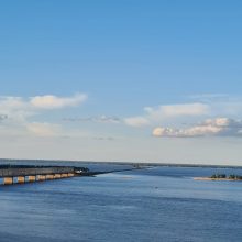 2021 – соснівський парк – 4 – foto by Наташа Вайвала